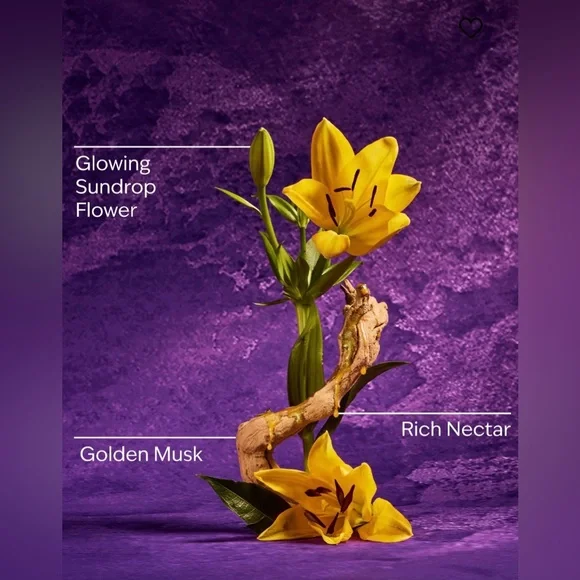 Bath & Body Works Disney Princess Rapunzel 3 Wick Candle - Picture 14 of 17